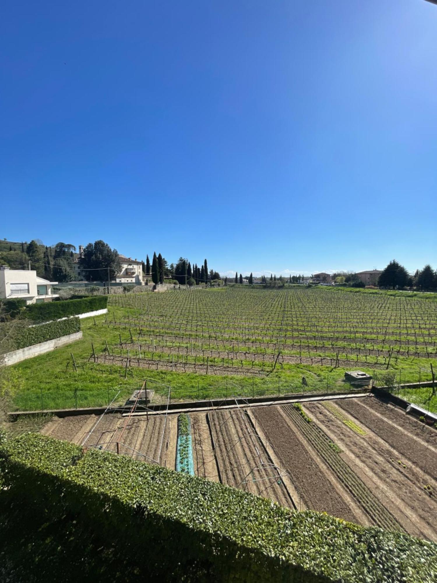 Casa San Francesco Apartment Parona di Valpolicella Bagian luar foto
